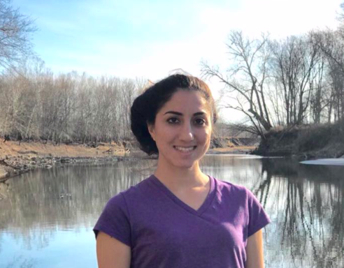 Screen Shot 2019-03-26 at 10.54.57 AM