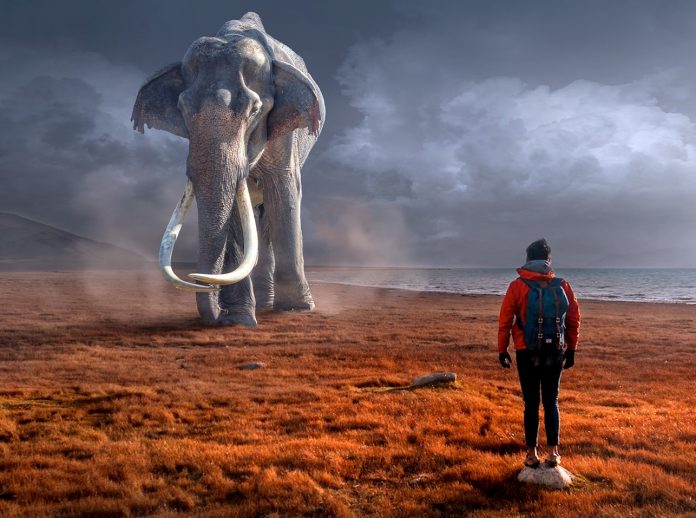 Mammoth essay picture