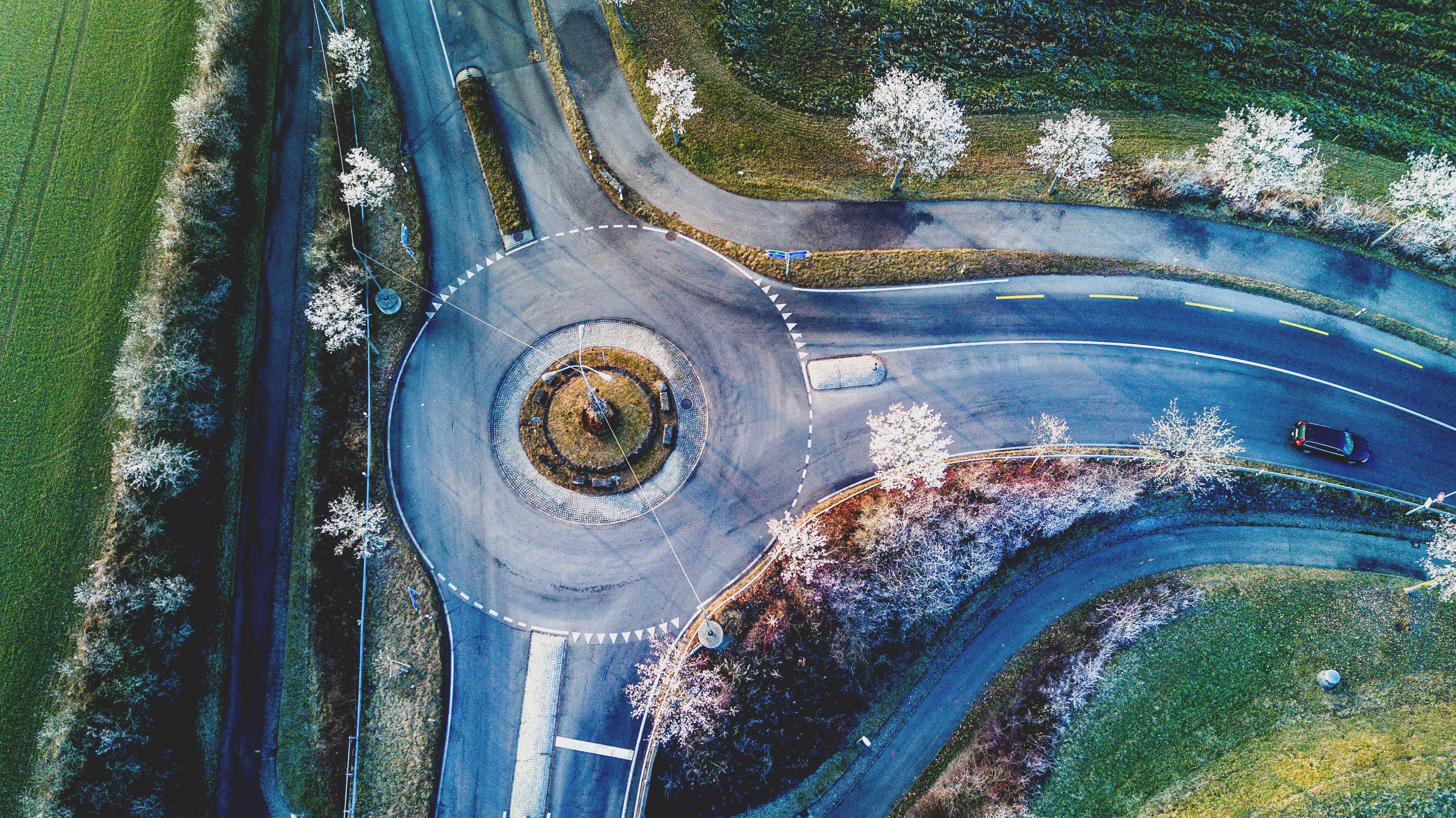 TechnicolorRoundabout