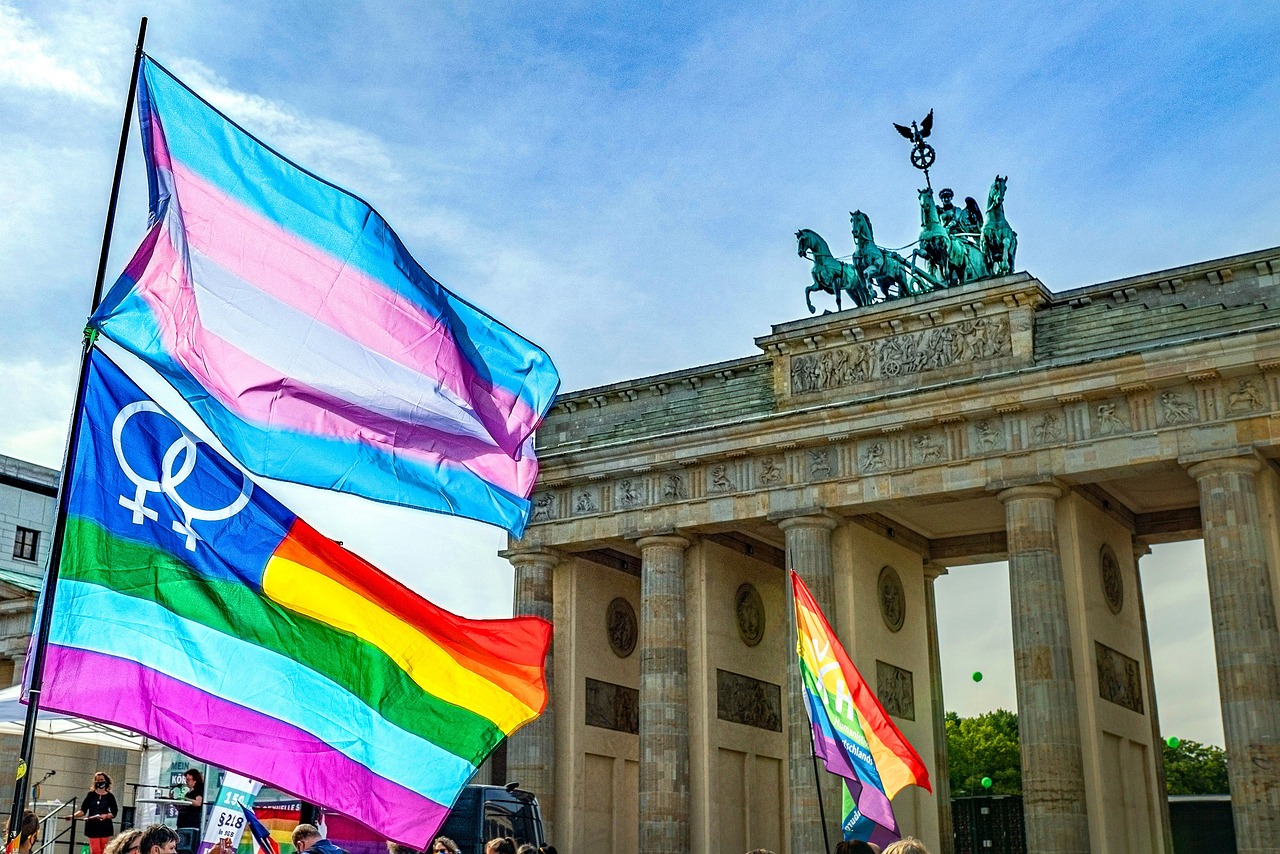 image of trans and gay pride flags