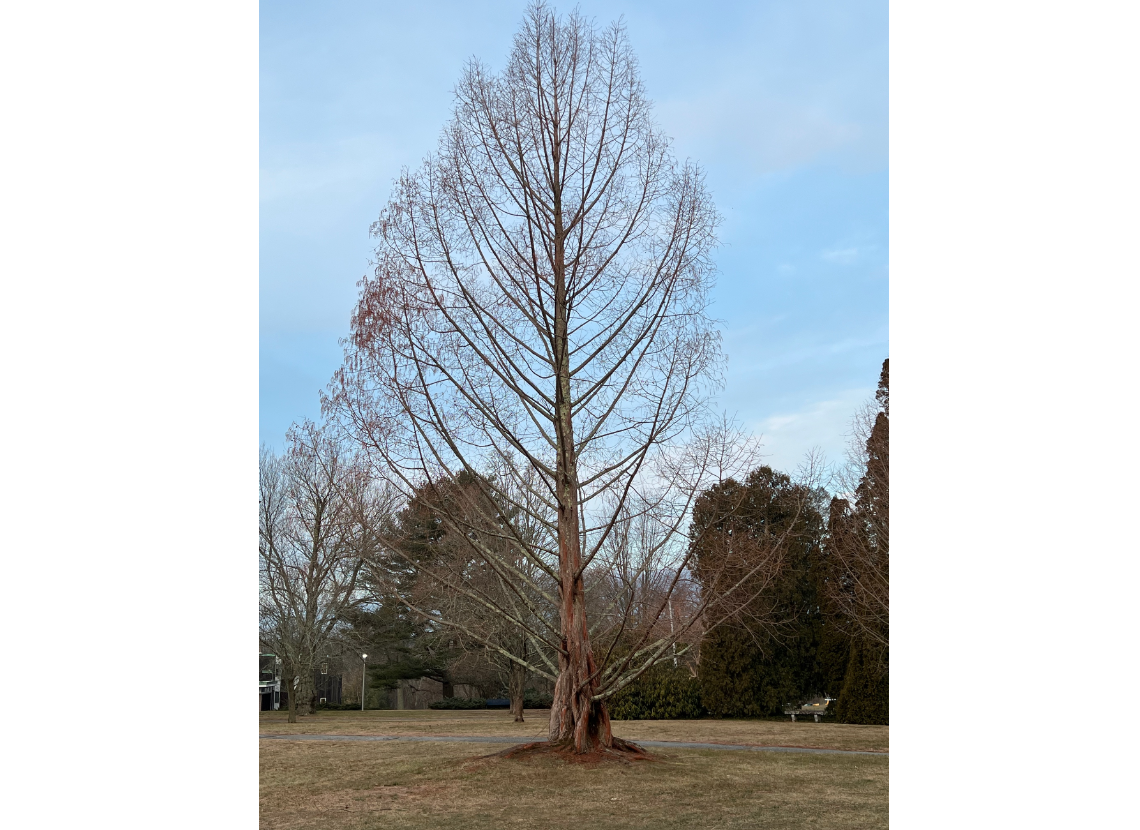 Screen Shot 2023-02-14 at 11.34.20