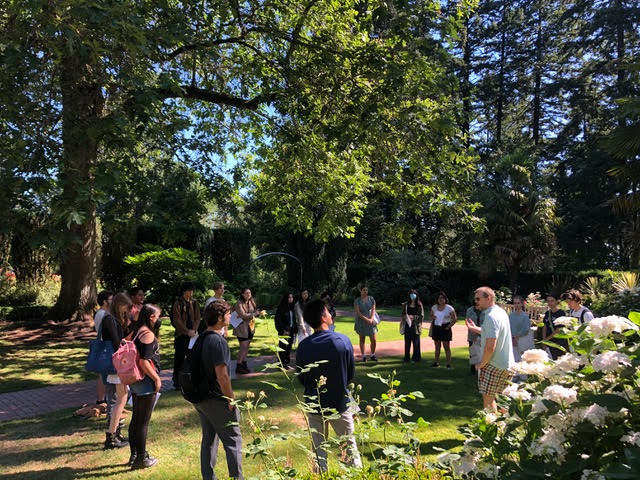 Summer Camp Japanese Garden decorative