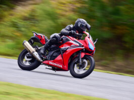 Person dressed in black protective gear on a red motorcycle with a blurry background.