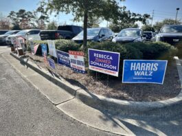 Along the side of a paved road, a line of party election signs.