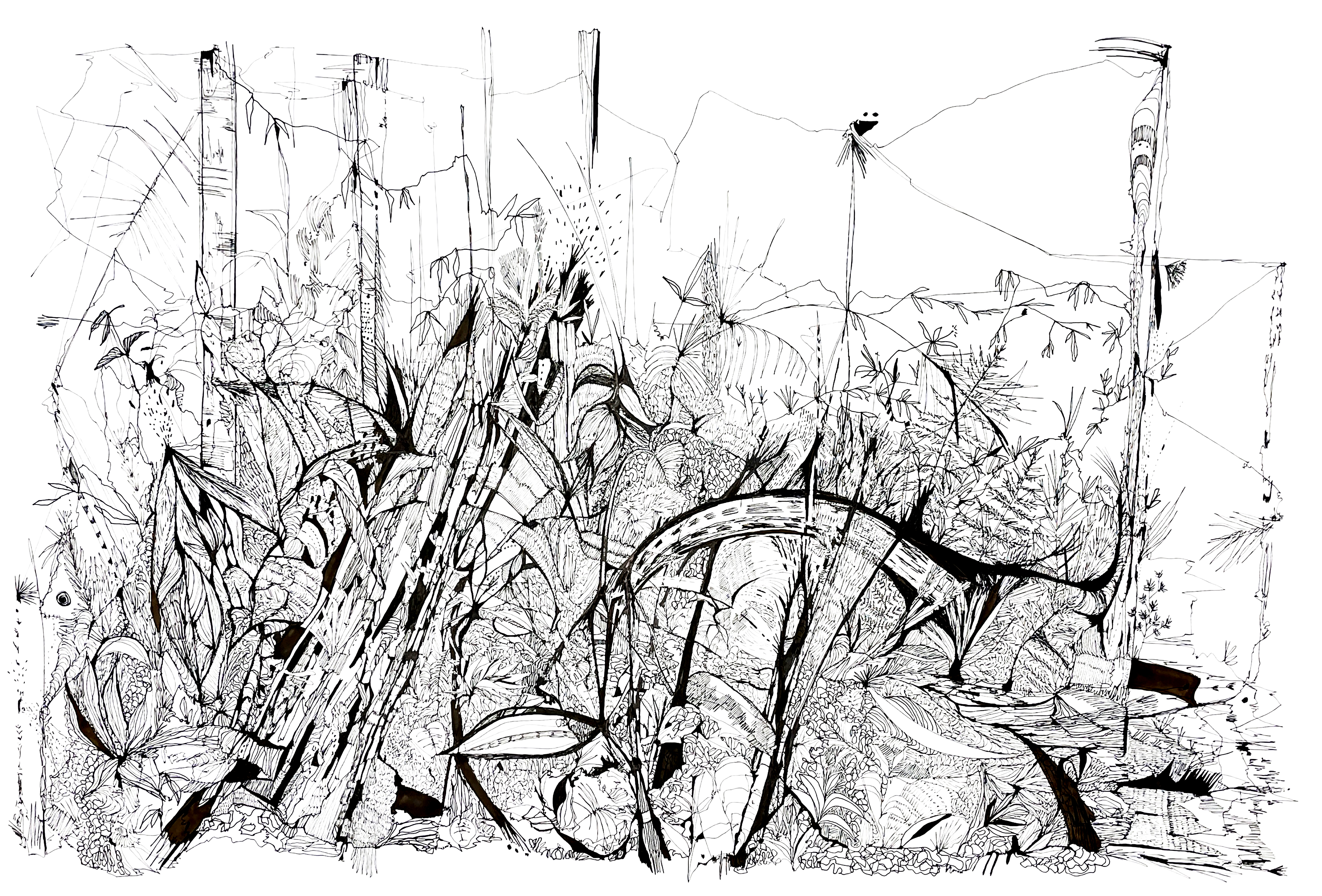 Requanimity Drawing, black ink on white paper