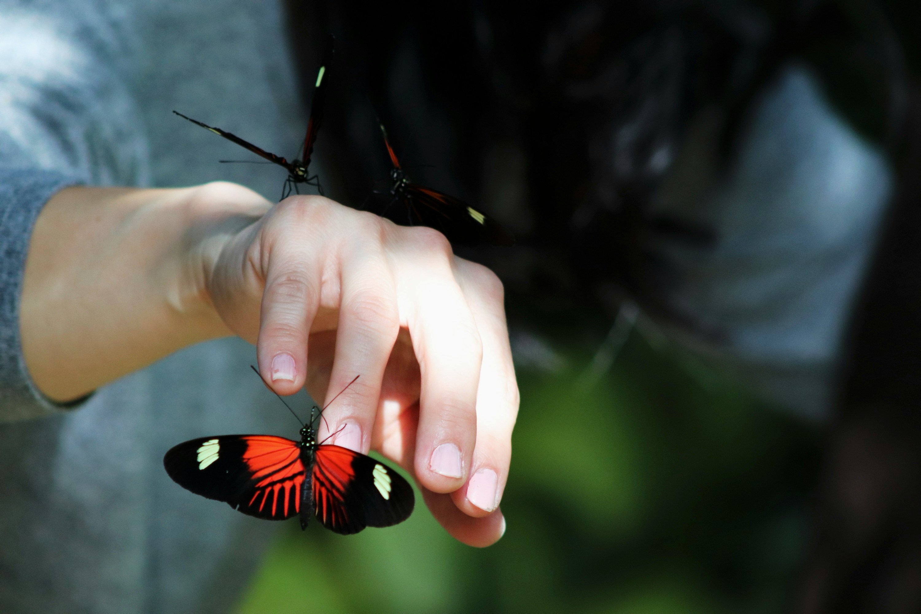 gabrielle-hensch-NnHhbO71EkI-unsplash decorative image